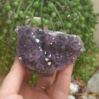 Amethyst Cluster (G102)