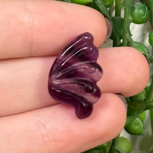 Fluorite Mini Butterfly Wing