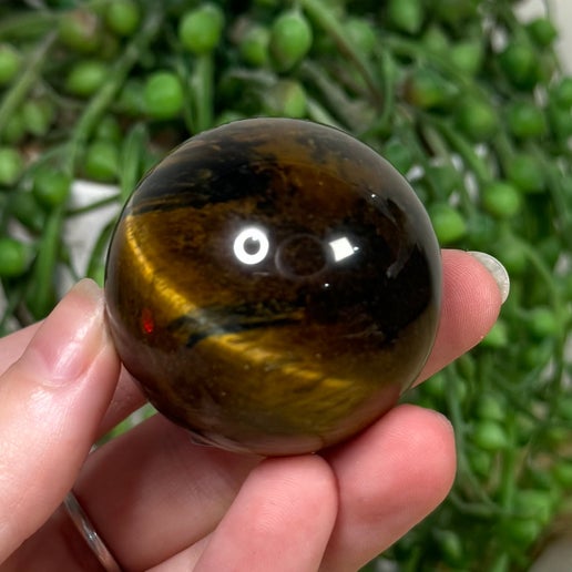 Tiger Eye Sphere (J763)