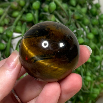 Tiger Eye Sphere (J763)