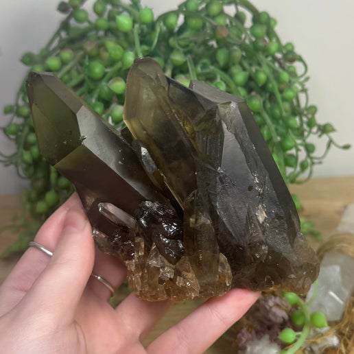 Smokey Quartz Cluster (L866)