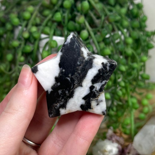 Black Zebra Jasper Star (J944)