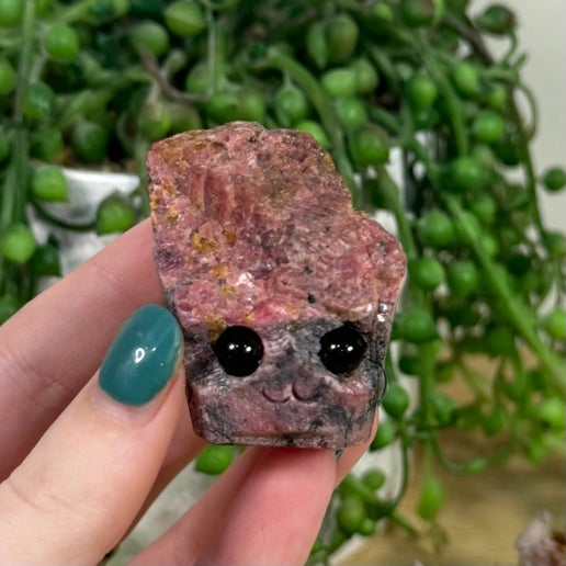 Rhodonite Pet Rock (J473)