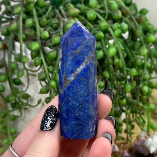 Lapis Lazuli Point (I342)