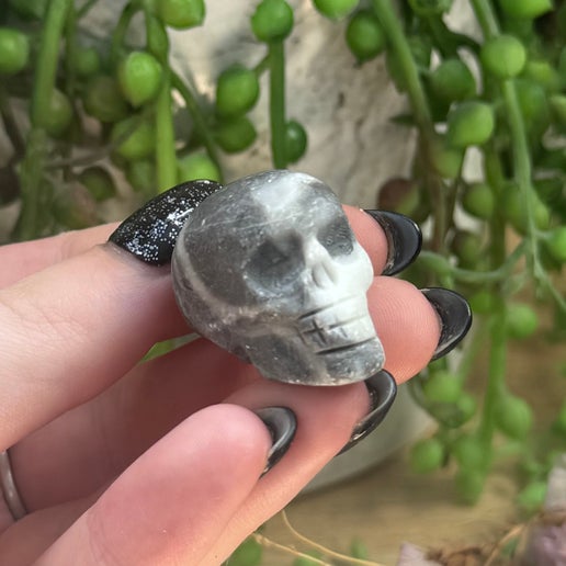 Thousand Eye Jasper Small Skull