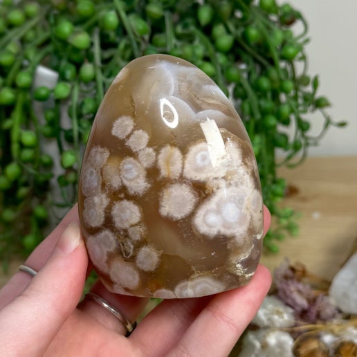 Flower Agate Arch Free Form (L819)