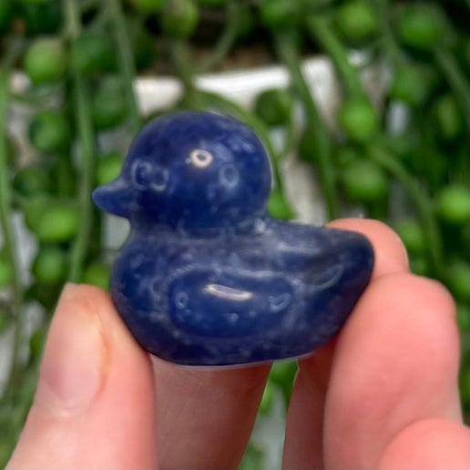 Blue Aventurine Duck (J320) (J321) (J322)