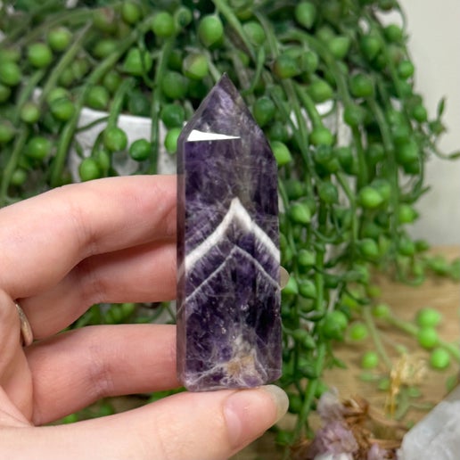 Dream Amethyst Point (I901)