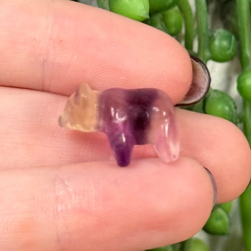 Fluorite Mini Bear