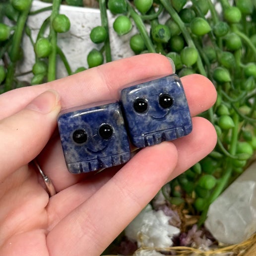 Sodalite Pet Rock