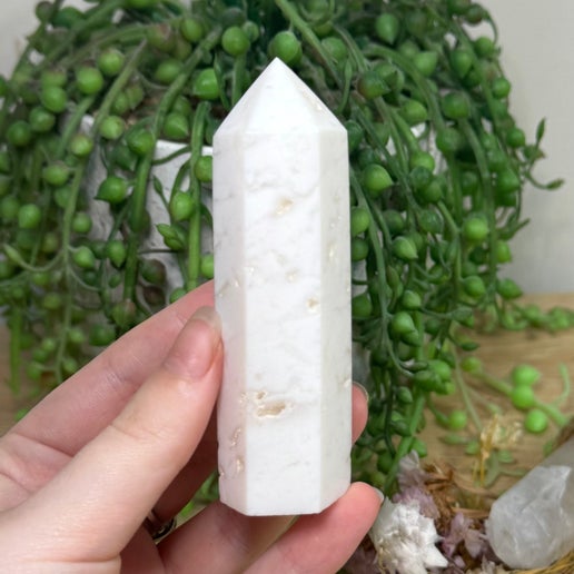 Snow Agate Point (G471)