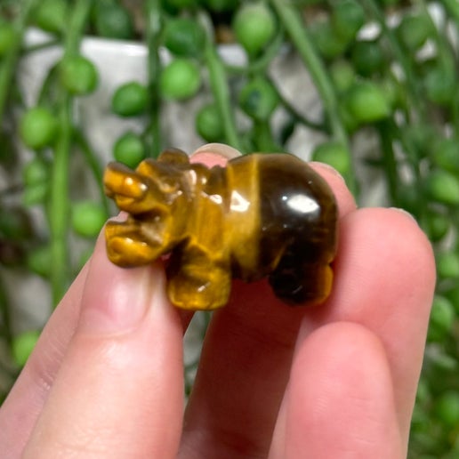 Tiger Eye Small Hippo