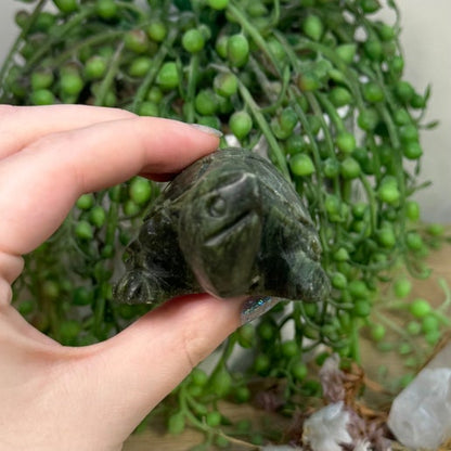 Green Jade Turtle (C564)