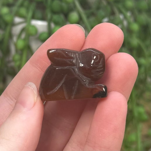 Carnelian Small Bunny