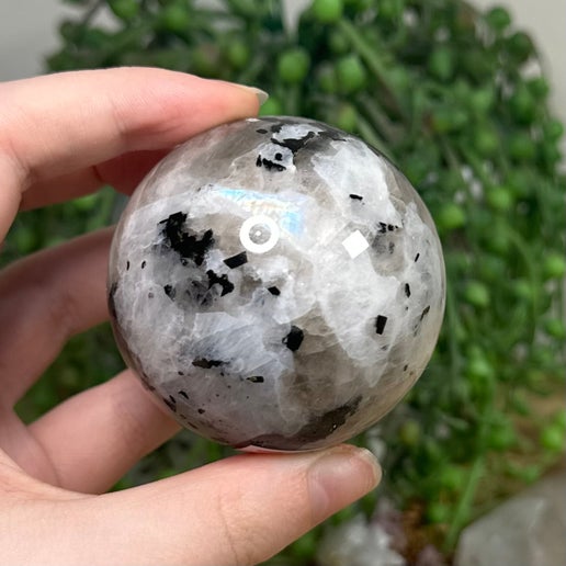 Rainbow Moonstone Sphere (I962)