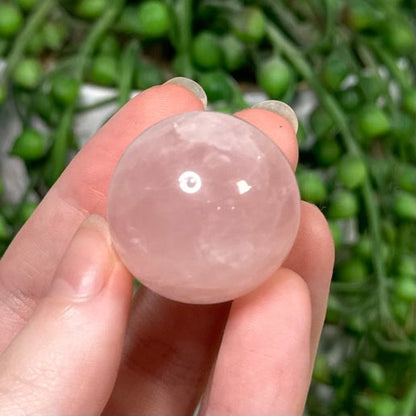 Rose Quartz Small Sphere